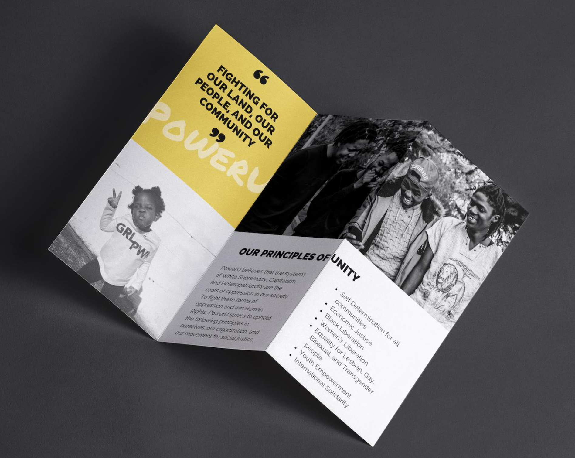 Educational brochure
