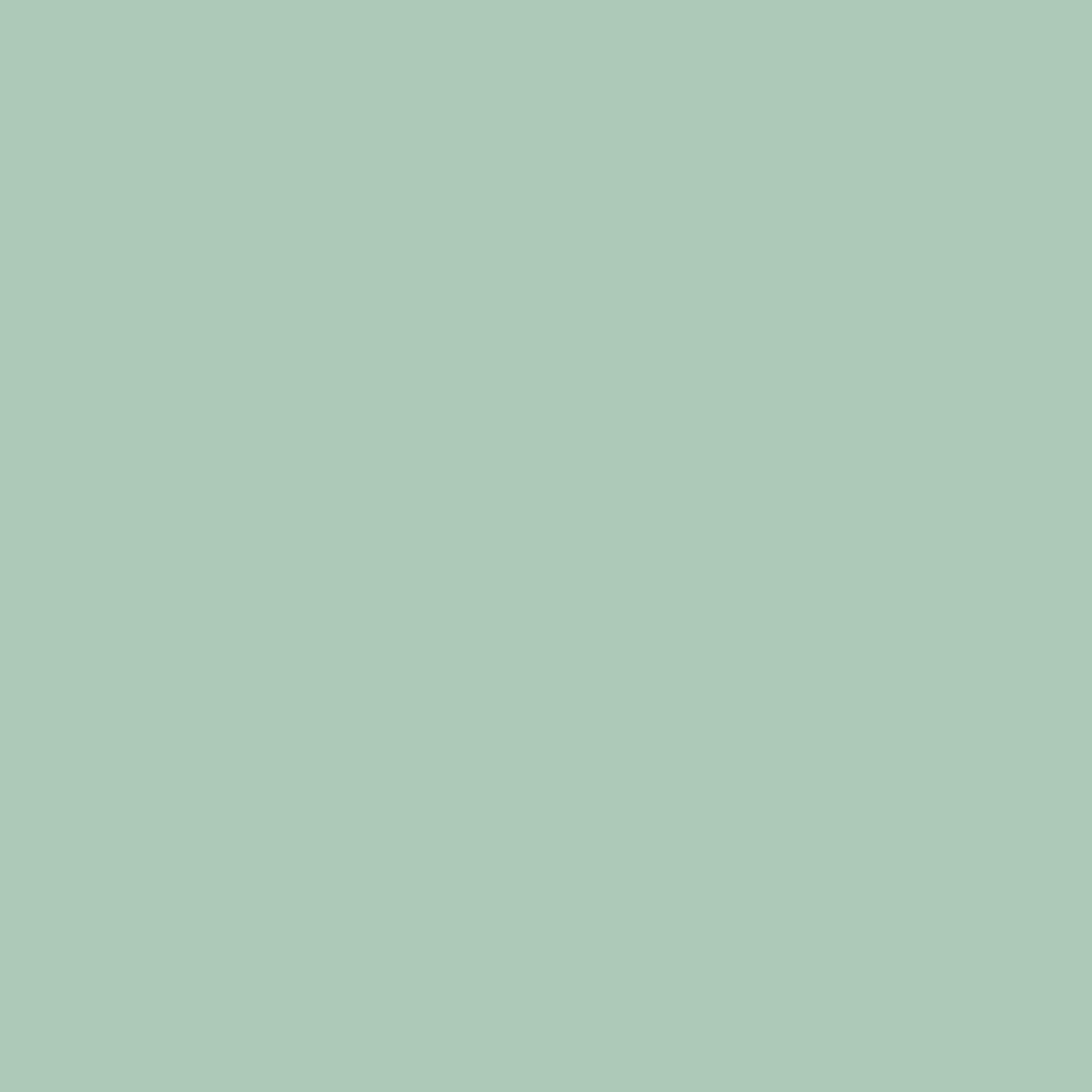 Matcha brand color