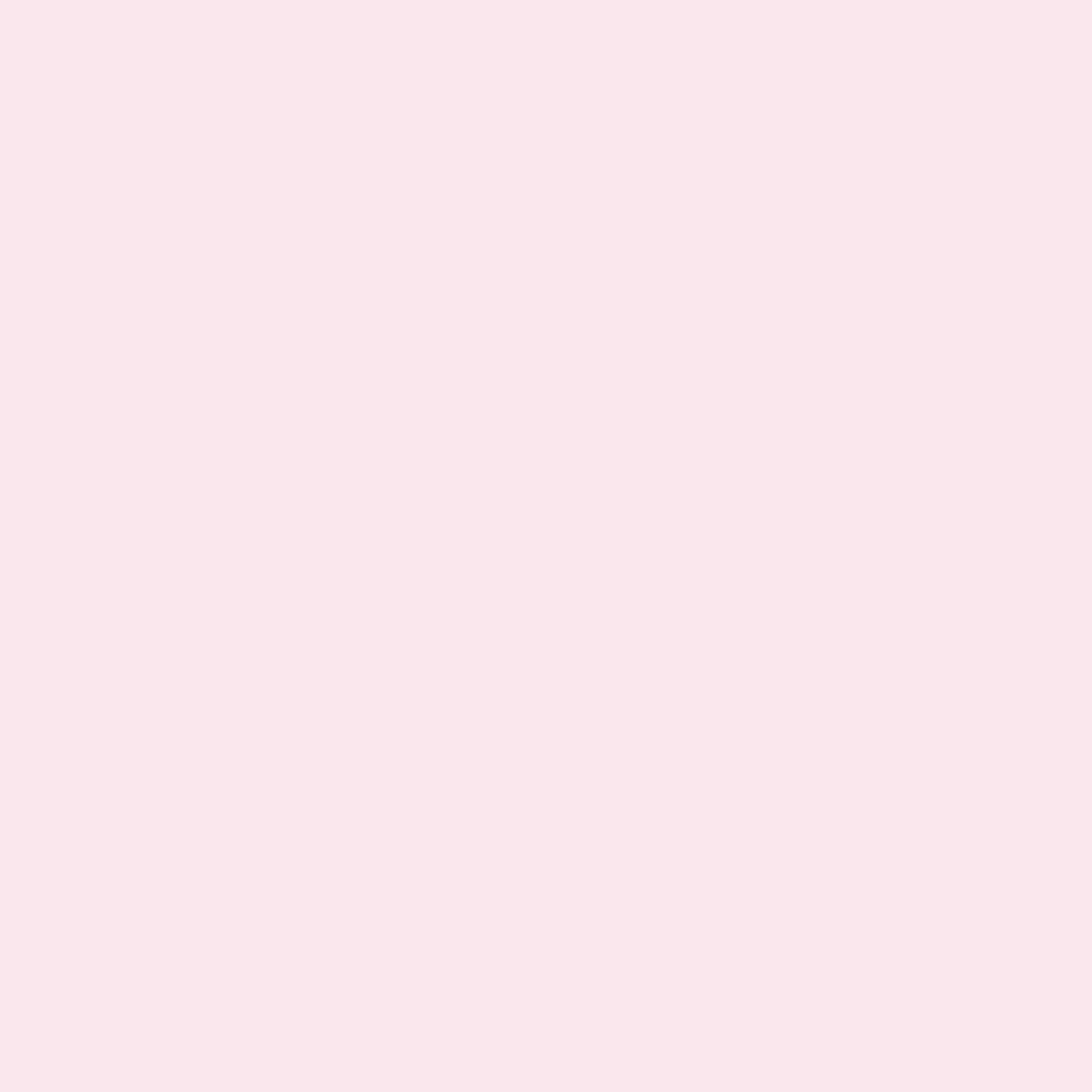 Blush Pink brand color