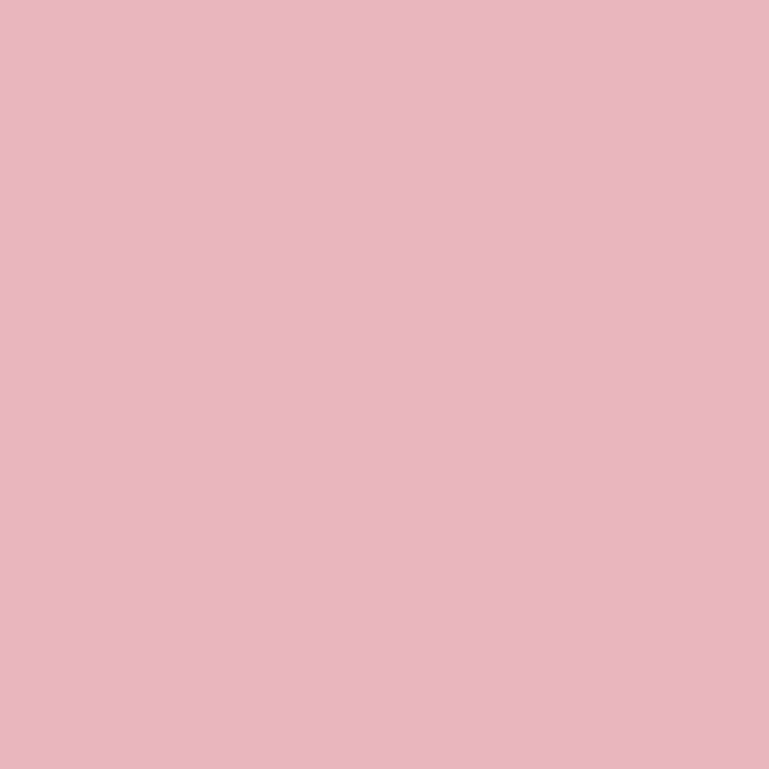Mauve brand color