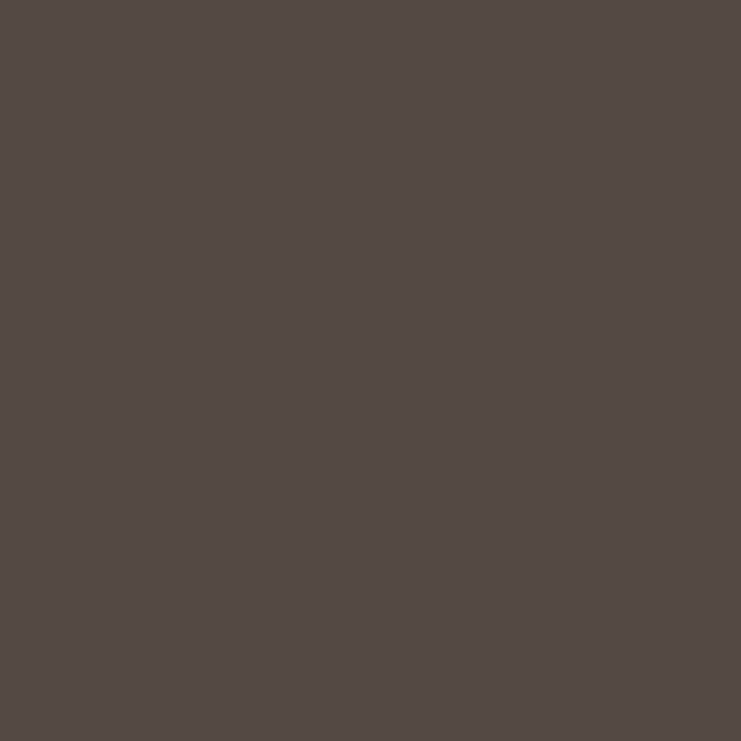 Deep Brown brand color