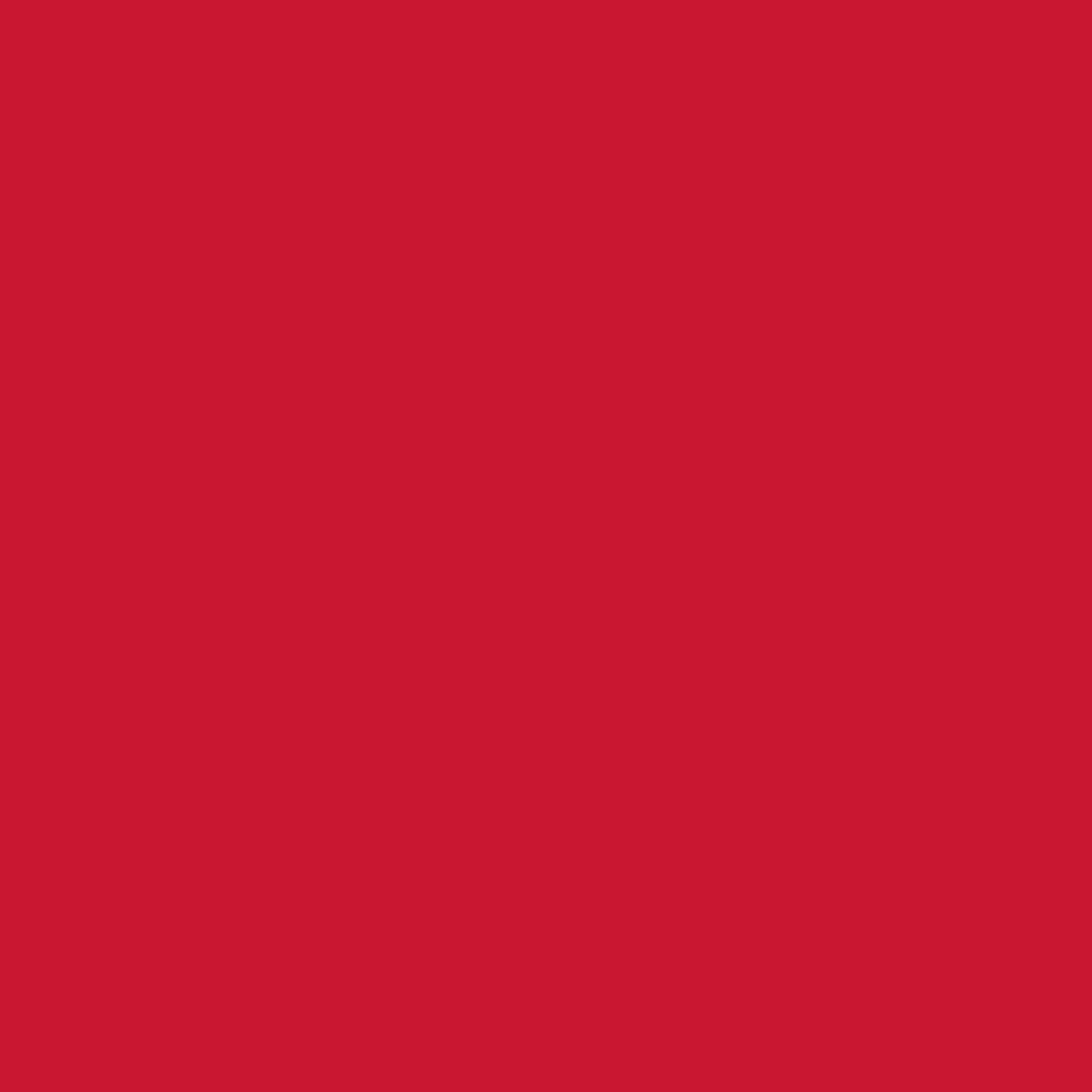 Action Red brand color