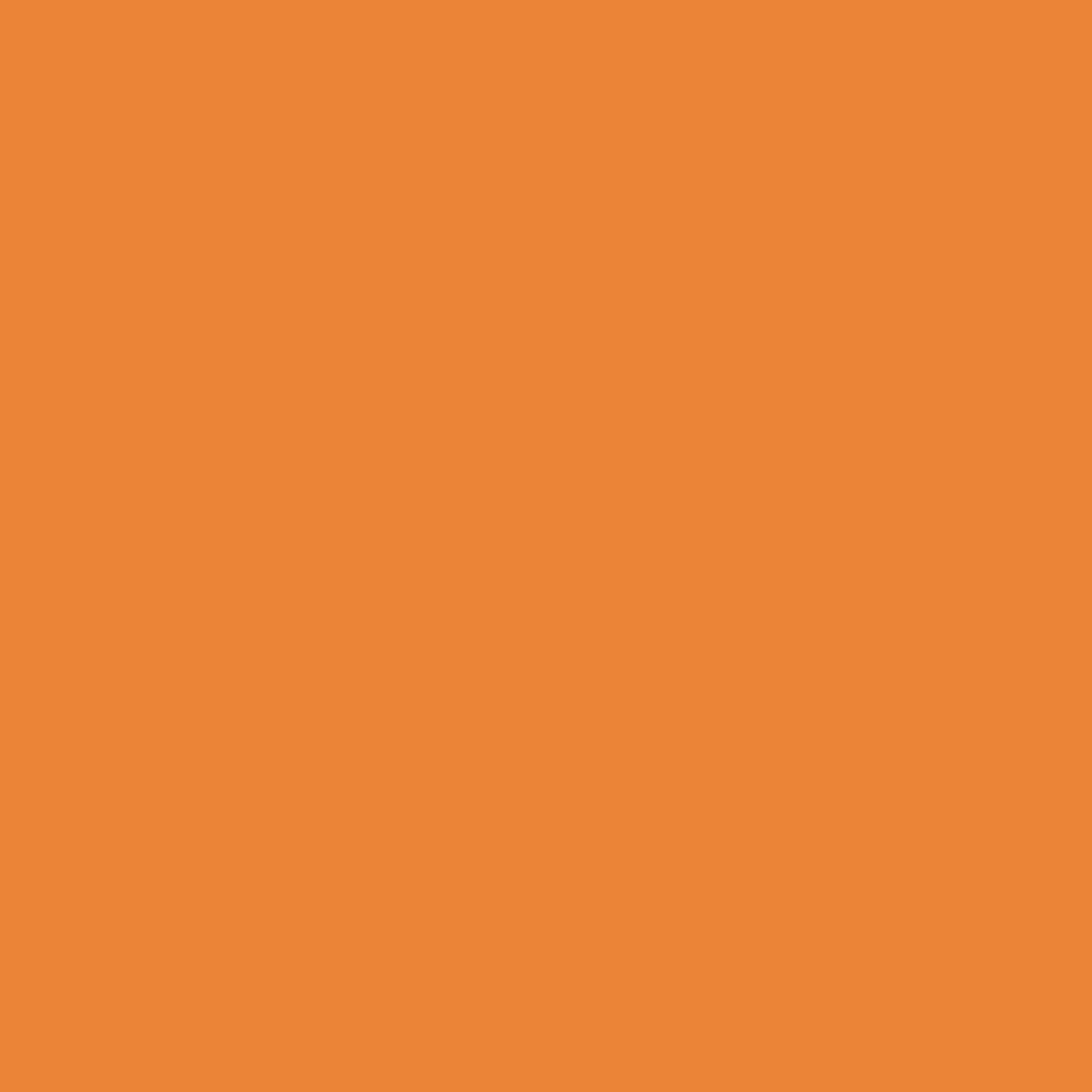 Orange brand color